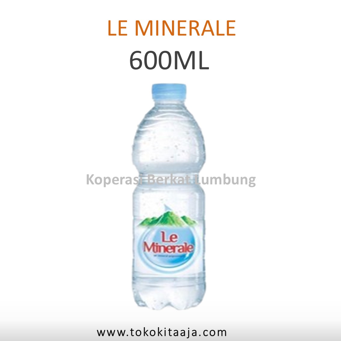 LE MINERALE 600ML