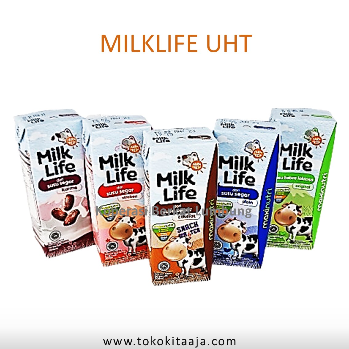 Product Images
